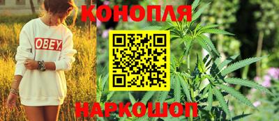 ПСИЛОЦИБИНОВЫЕ ГРИБЫ Будённовск